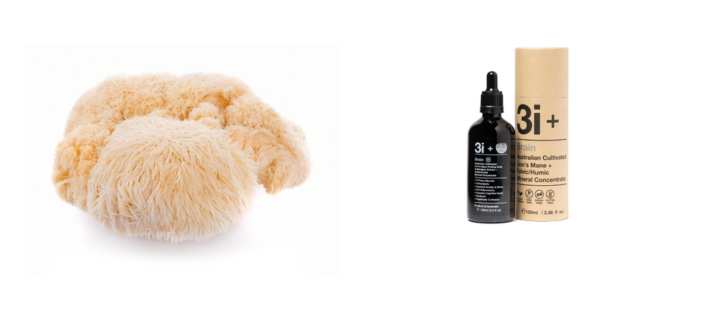 3i Fulvic - Lions Mane 