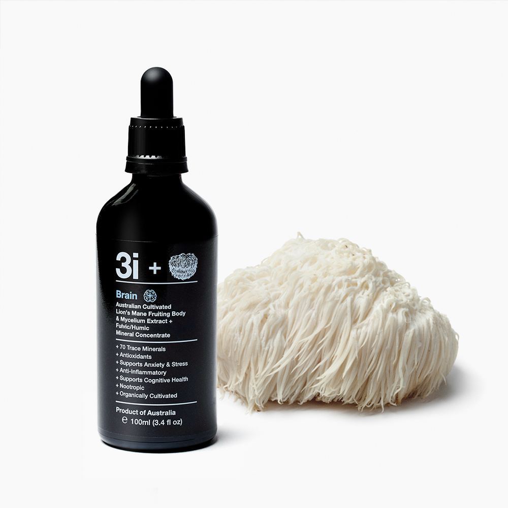 3i+ BRAIN (Lions Mane)
